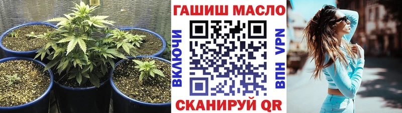 блэк спрут вход наркошоп Людиново ТГК вейп с тгк
