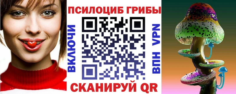 где продают   Людиново  Псилоцибиновые грибы Psilocybe 